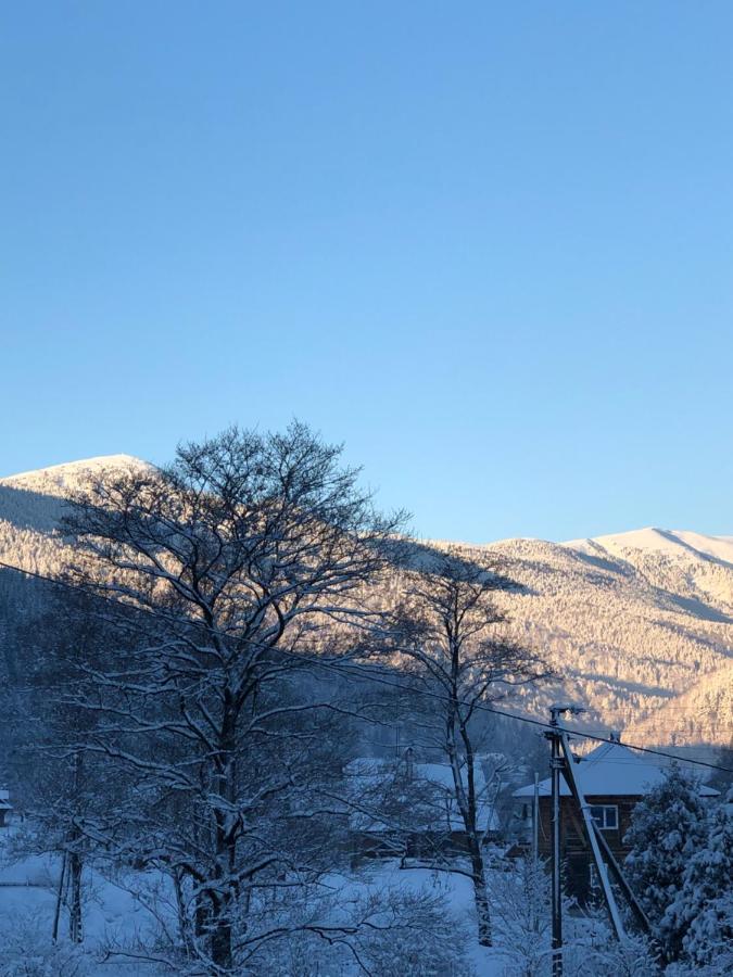 Villa Лучка Mykulychyn Esterno foto
